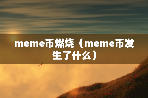 meme币燃烧（meme币发生了什么）