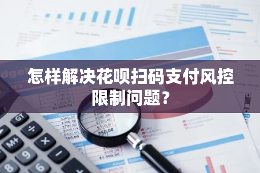 怎样解决花呗扫码支付风控限制问题？