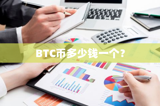 BTC币多少钱一个？