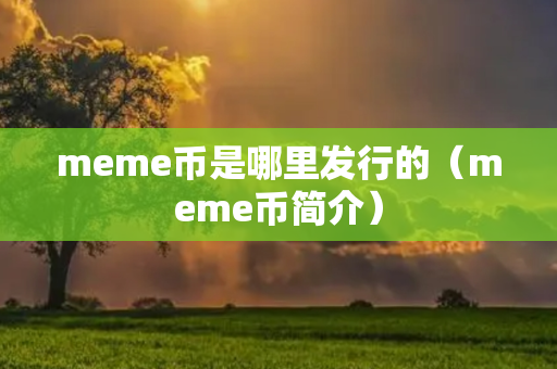 meme币是哪里发行的（meme币简介）