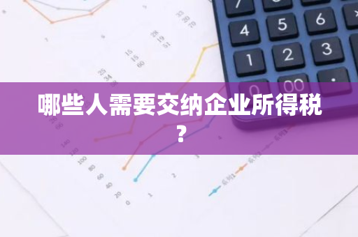 哪些人需要交纳企业所得税？