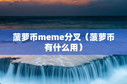 菠萝币meme分叉（菠萝币有什么用）