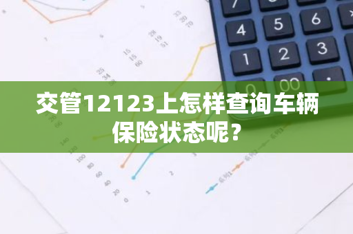 交管12123上怎样查询车辆保险状态呢？