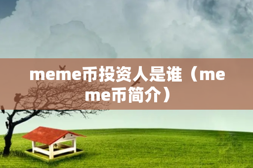 meme币投资人是谁（meme币简介）