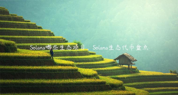 Solana哪些生态项目，Solana生态代币盘点