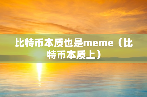 比特币本质也是meme（比特币本质上）