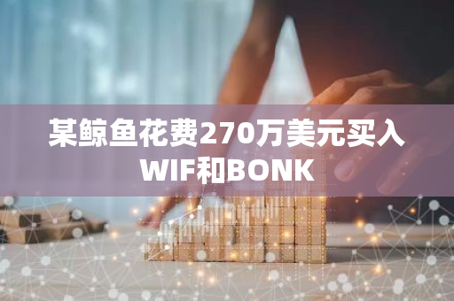 某鲸鱼花费270万美元买入WIF和BONK