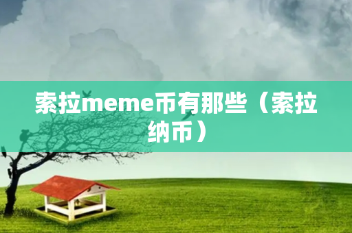 索拉meme币有那些（索拉纳币）