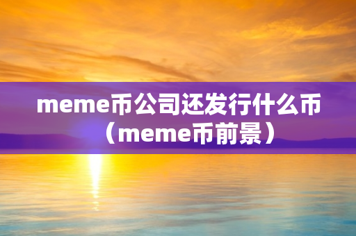 meme币公司还发行什么币（meme币前景）