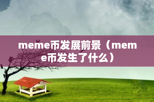 meme币发展前景（meme币发生了什么）