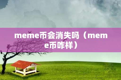 meme币会消失吗（meme币咋样）