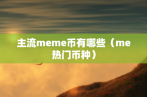 主流meme币有哪些（me热门币种）