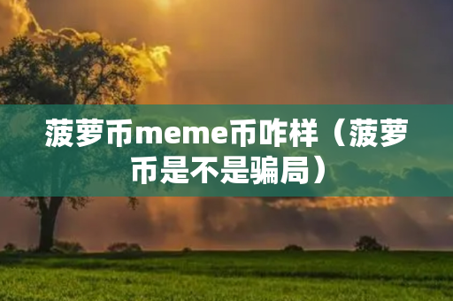 菠萝币meme币咋样（菠萝币是不是骗局）