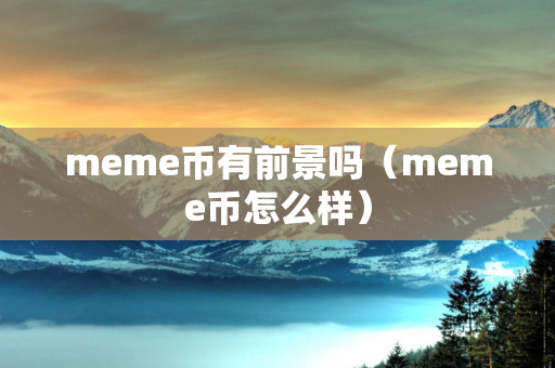 meme币有前景吗（meme币怎么样）