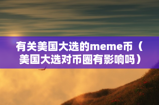 有关美国大选的meme币（美国大选对币圈有影响吗）