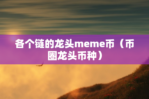 各个链的龙头meme币（币圈龙头币种）