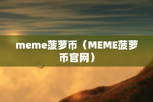 meme菠萝币（MEME菠萝币官网）