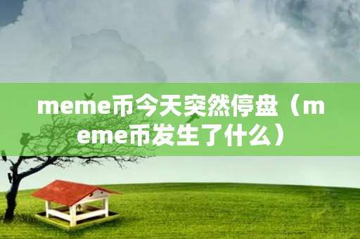 meme币今天突然停盘（meme币发生了什么）