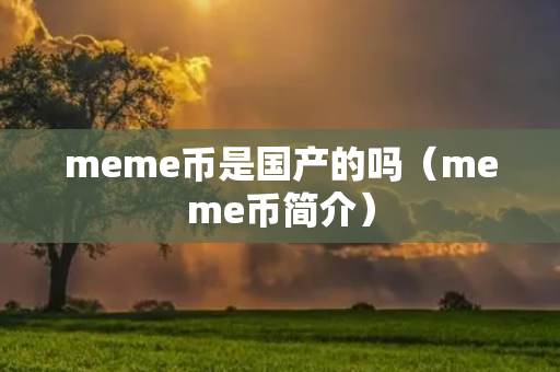 meme币是国产的吗（meme币简介）