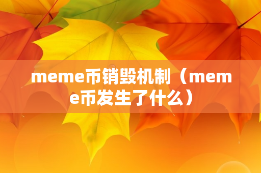 meme币销毁机制（meme币发生了什么）