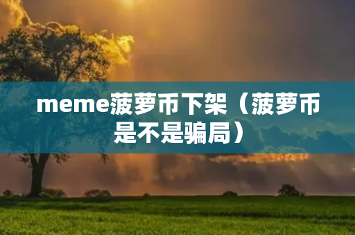 meme菠萝币下架（菠萝币是不是骗局）