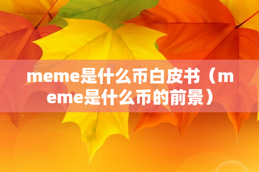 meme是什么币白皮书（meme是什么币的前景）