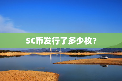 SC币发行了多少枚？