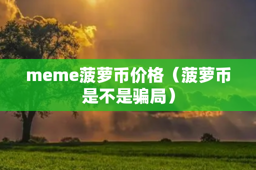 meme菠萝币价格（菠萝币是不是骗局）