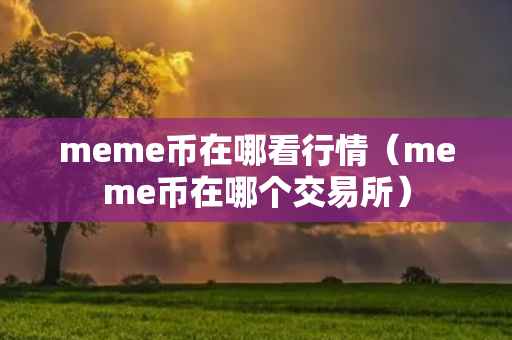 meme币在哪看行情（meme币在哪个交易所）