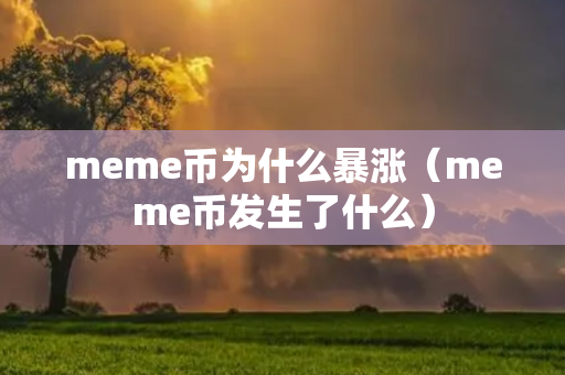 meme币为什么暴涨（meme币发生了什么）