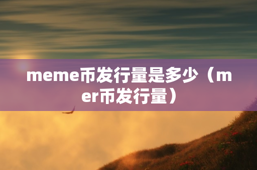 meme币发行量是多少（mer币发行量）