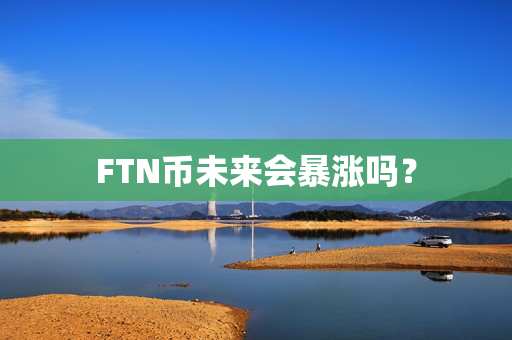 FTN币未来会暴涨吗？