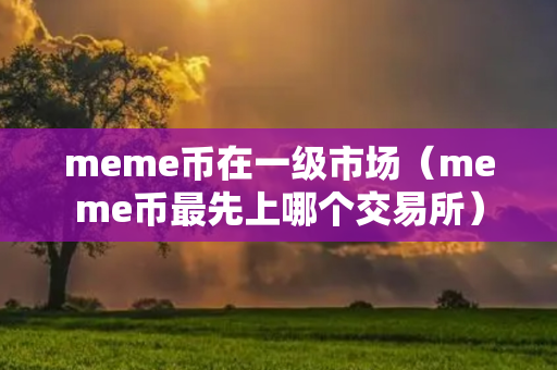 meme币在一级市场（meme币最先上哪个交易所）