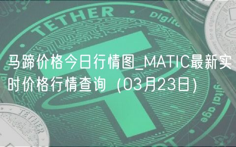 马蹄价格今日行情图_MATIC最新实时价格行情查询（03月23日）