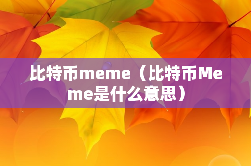 比特币meme（比特币Meme是什么意思）