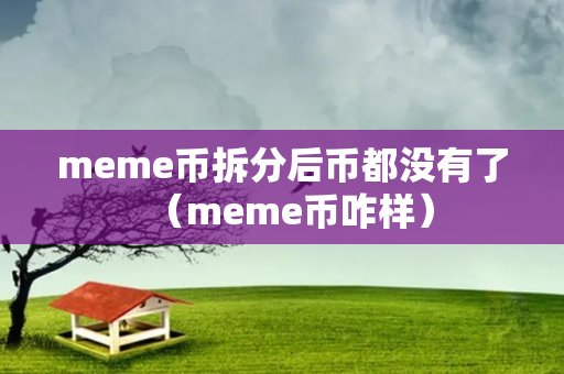 meme币拆分后币都没有了（meme币咋样）