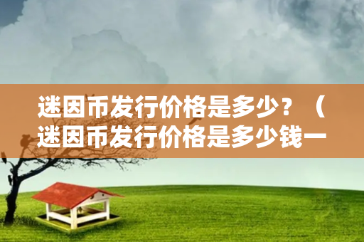 迷因币发行价格是多少？（迷因币发行价格是多少钱一个）