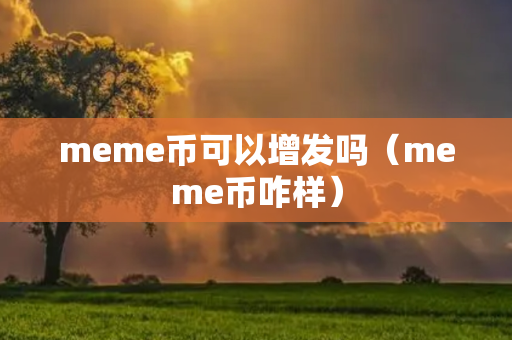 meme币可以增发吗（meme币咋样）