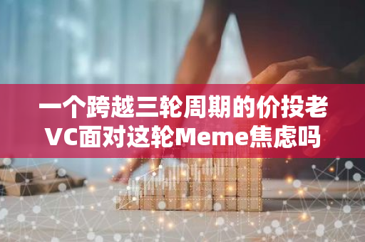 一个跨越三轮周期的价投老VC面对这轮Meme焦虑吗？