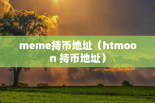 meme持币地址（htmoon 持币地址）