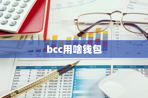 bcc用啥钱包