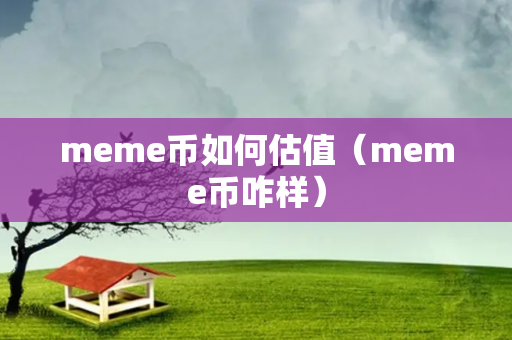 meme币如何估值（meme币咋样）