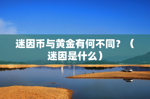 迷因币与黄金有何不同？（迷因是什么）