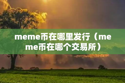 meme币在哪里发行（meme币在哪个交易所）