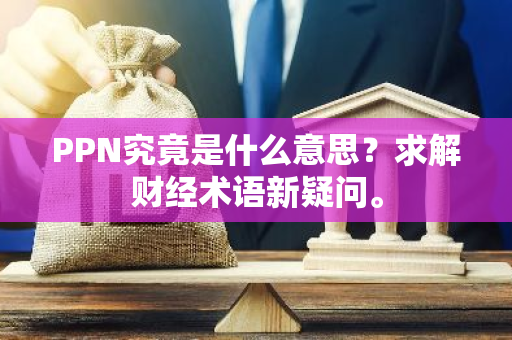 PPN究竟是什么意思？求解财经术语新疑问。