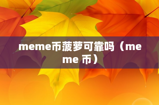 meme币菠萝可靠吗（meme 币）