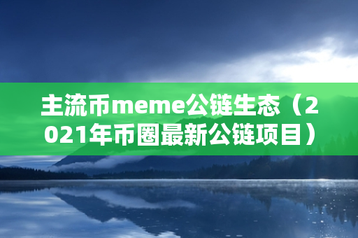 主流币meme公链生态（2021年币圈最新公链项目）