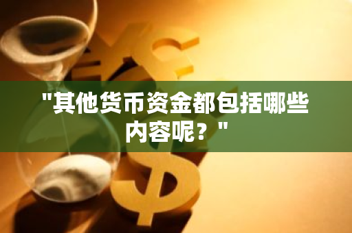 "其他货币资金都包括哪些内容呢？"