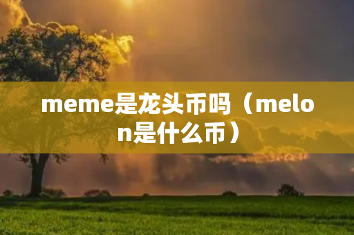 meme是龙头币吗（melon是什么币）