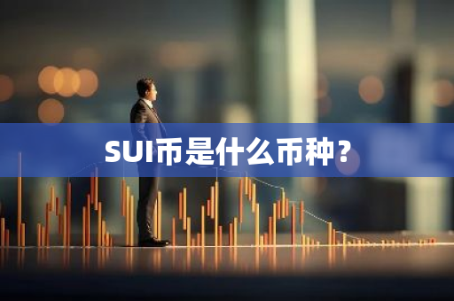 SUI币是什么币种？